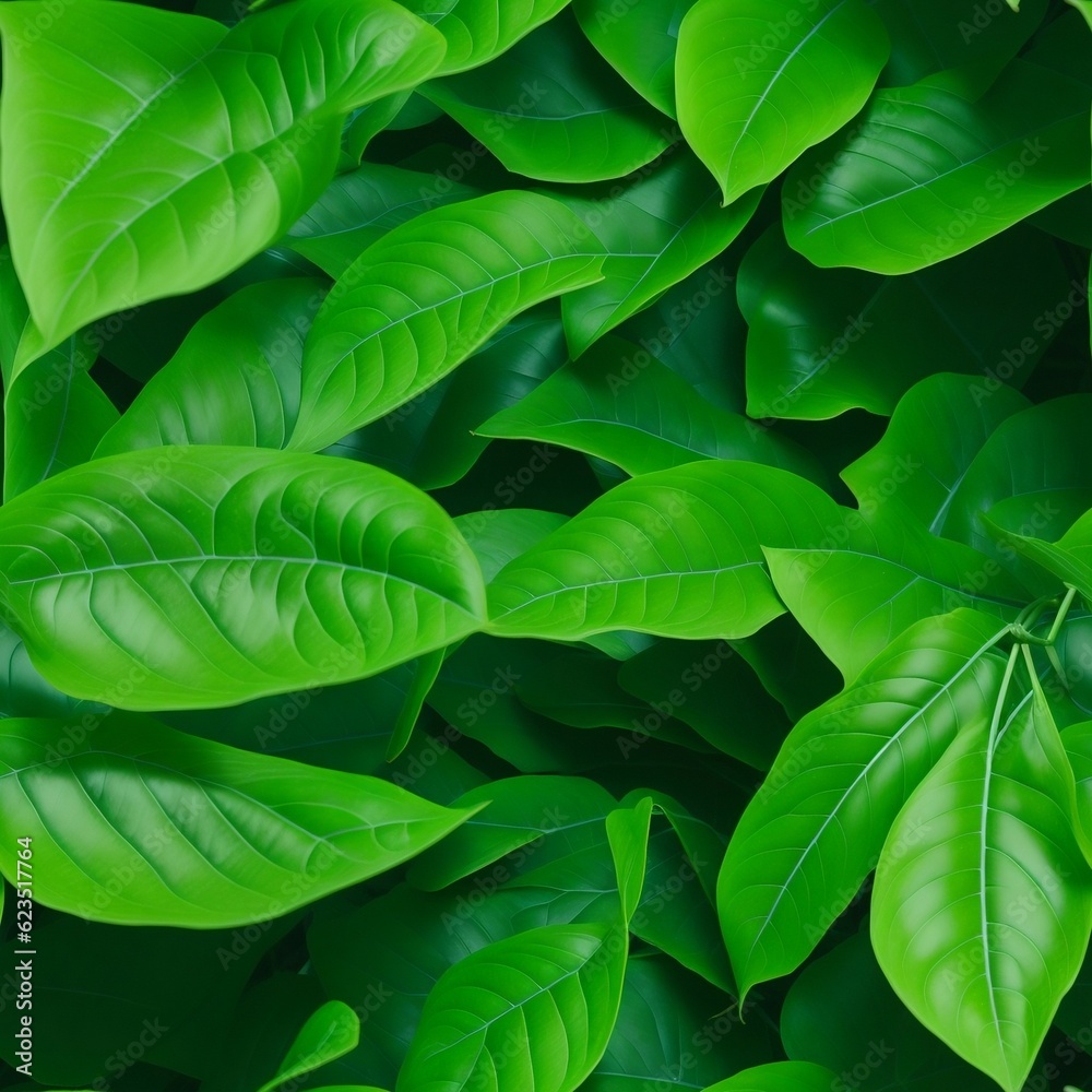 green leaves background green leaves background