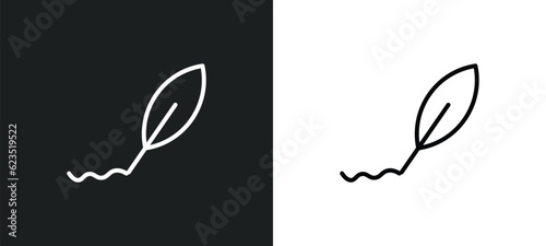 calligraphy icon isolated in white and black colors. calligraphy outline vector icon from education collection for web, mobile apps and ui.