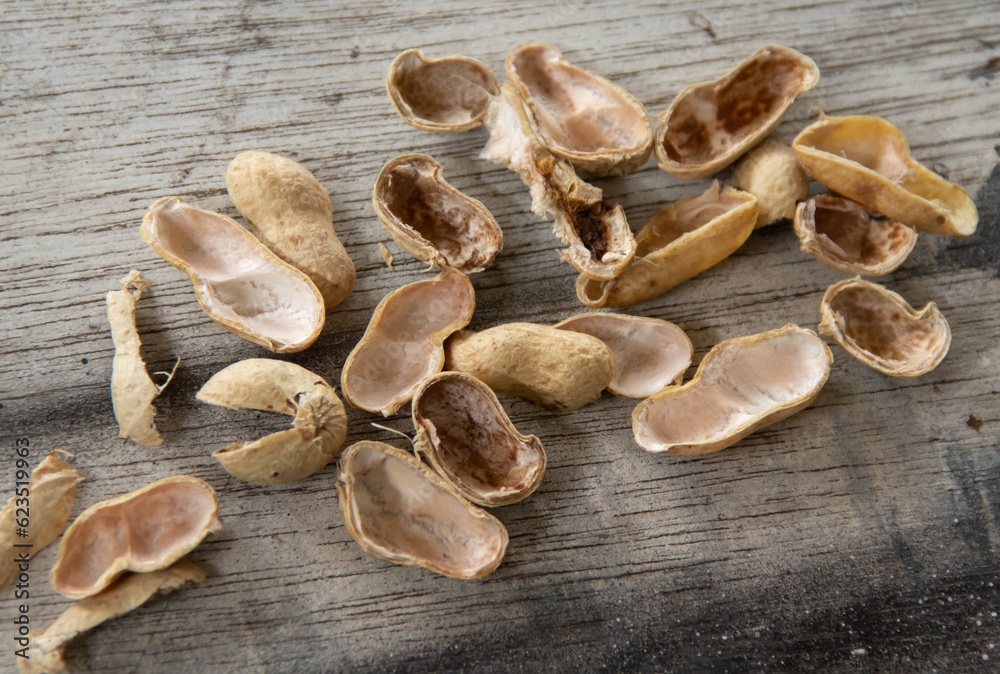 Peanut shells piled up on the wooden floor Peanut shells piled up on the wooden floor