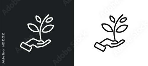 plant a tree icon isolated in white and black colors. plant a tree outline vector icon from ecology collection for web, mobile apps and ui.