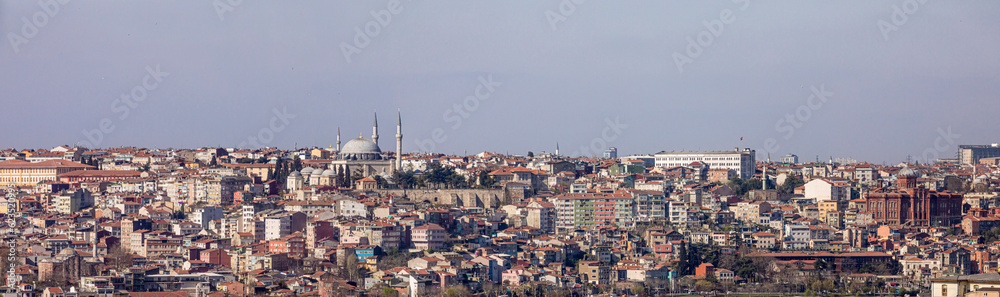 Wide panorama of the huge city of Istanbul, Turkey.