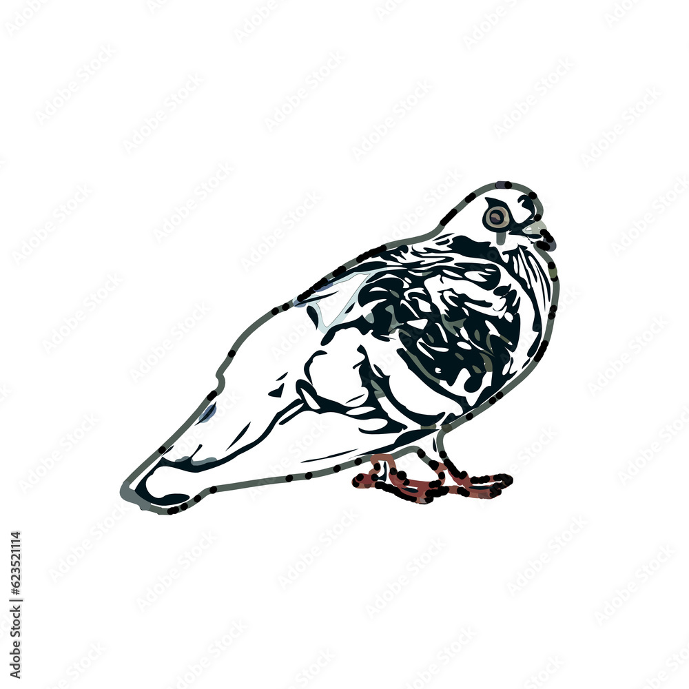 Obraz premium sketch of a dove with transparent background