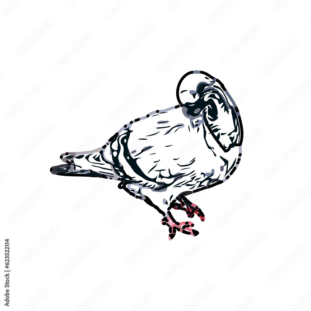 custom made wallpaper toronto digitalsketch of a dove with transparent background