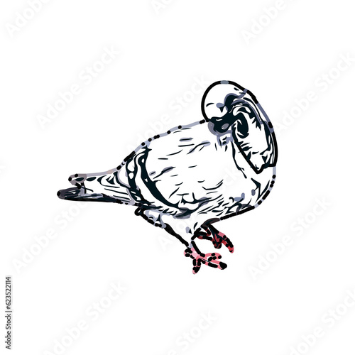 Wallpaper Mural sketch of a dove with transparent background Torontodigital.ca