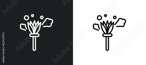 feather duster icon isolated in white and black colors. feather duster outline vector icon from cleaning collection for web, mobile apps and ui.