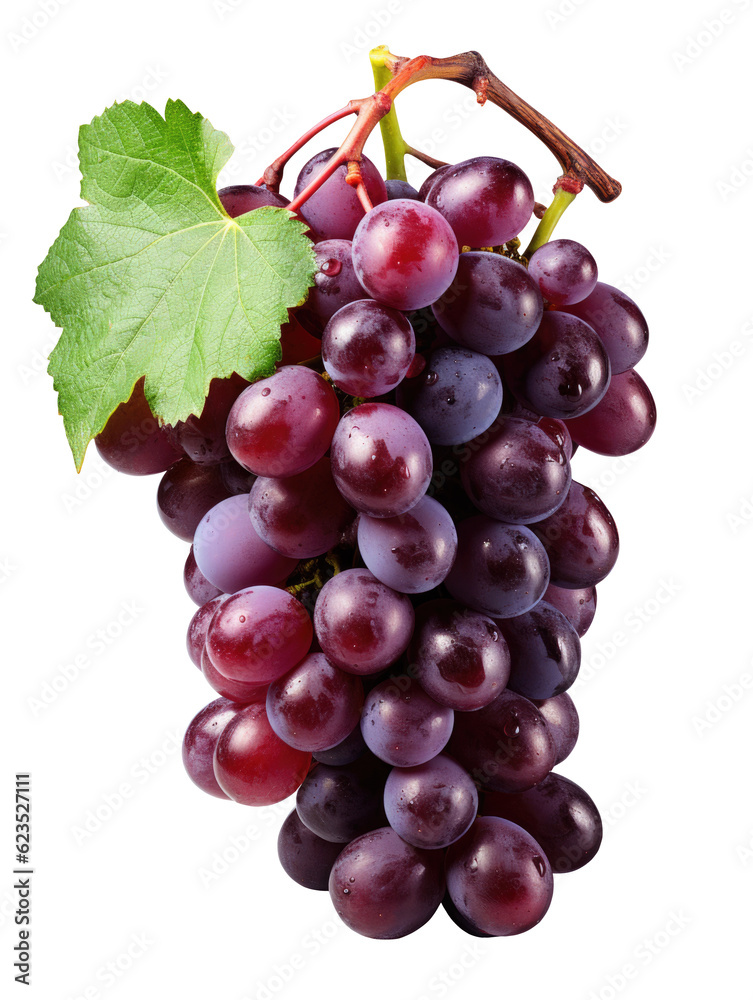 violet grapes isolated on transparent background. png grape. clip art. Ripe red wet grape with drops violet grapes isolated on transparent background. png grape. clip art. Ripe red wet grape with drops