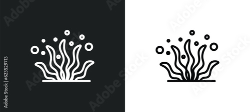 seaweed icon isolated in white and black colors. seaweed outline vector icon from animals collection. collection for web, mobile apps and ui.