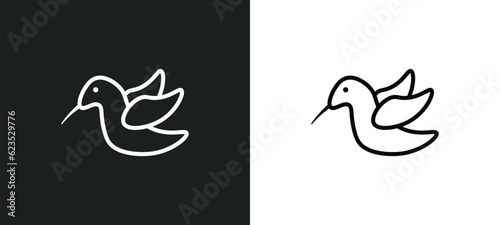 colibri icon isolated in white and black colors. colibri outline vector icon from animals collection for web, mobile apps and ui.