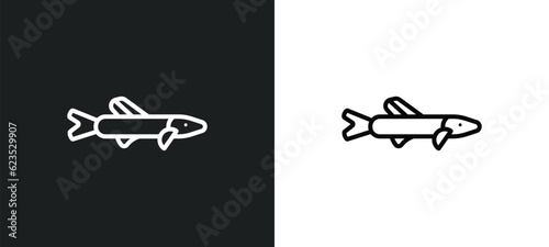 pike icon isolated in white and black colors. pike outline vector icon from animals collection for web, mobile apps and ui.