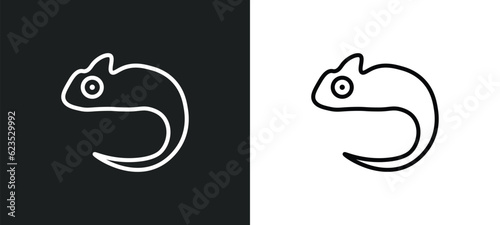 chameleon icon isolated in white and black colors. chameleon outline vector icon from animals collection for web, mobile apps and ui.