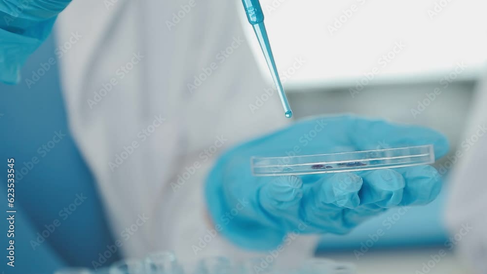 Health care researchers working in life science laboratory. Young female research scientist and senior male supervisor preparing and analyzing microscope slides in research lab.
