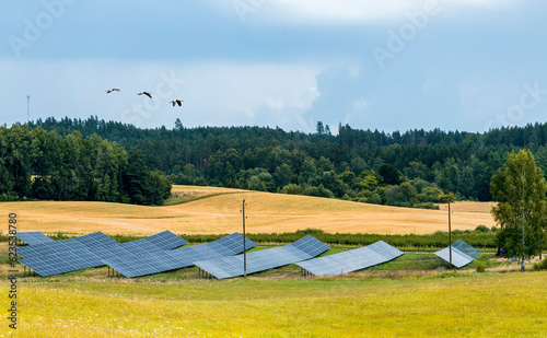 Countryside landscape with cluster of solar panels among ripe crops of wheat ...
