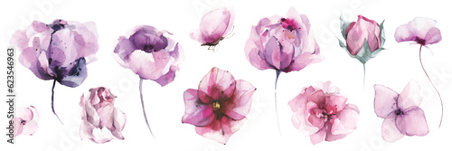 Watercolor floral set of violet, pink poppy, rose, peony, wild flowers, butterfly. Traced vector