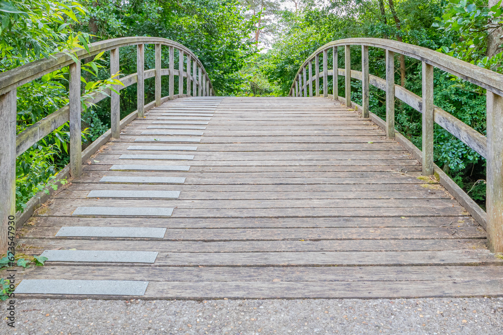 Arched platform of wooden planks an arch bridge, low angle view, abundant foliage of green leafy trees in misty background, sunny spring day in nature reserve at Echternach, Luxembourg