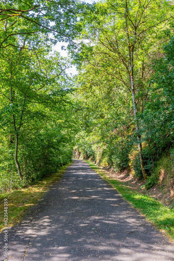 Empty hiking path among abundant green leafy trees and wild vegetation on lakeside circuit by the Stausee Bitburg lake, fading into the background, sunny spring day in Germany