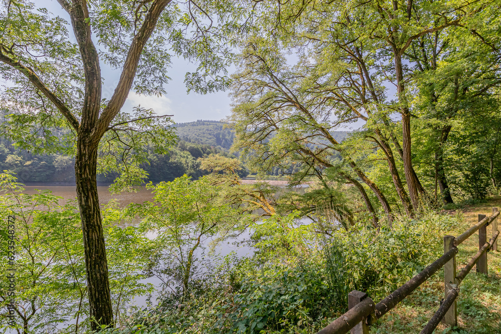 Trees with green foliage next to a wooden fence with Stausee Bitburg lake and mountains in the background, viewpoint next to a hiking trail, sunny spring day in Germany