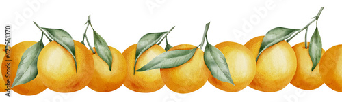 Orange seamless Border. Hand drawn watercolor illustration of citrus tangerine pattern on white isolated background for frame or banner. Tropical mandarin Fruit with green leaves for product label.