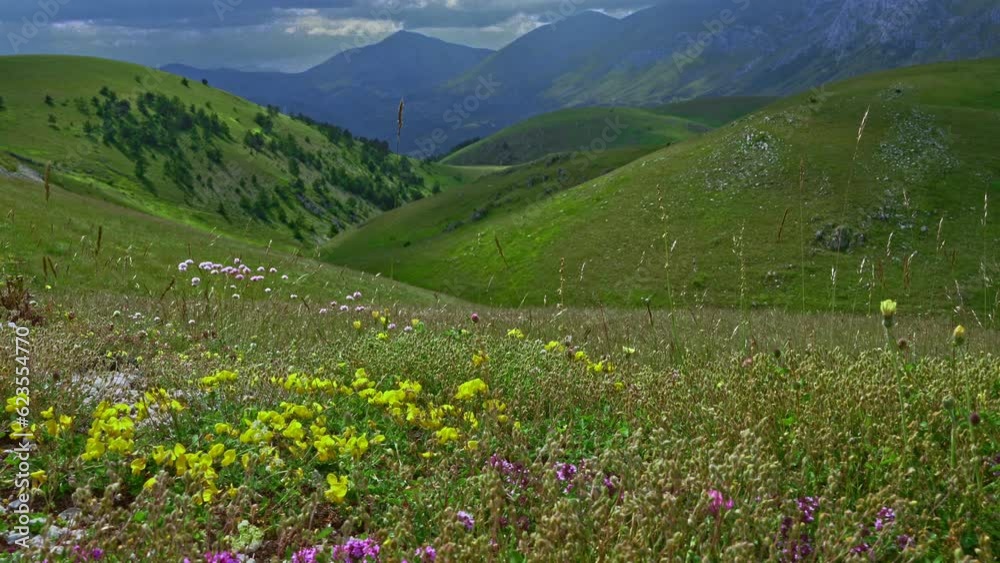 Flowery meadows and hills in the Gran Sasso and Monti della Laga National Park. The clouds draw dark light between the hills. Gran Sasso and Monti della Laga National Park, Abruzzo, Italy, Europe