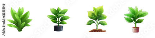 Plant clipart collection, vector, icons isolated on transparent background