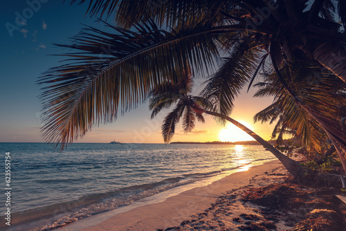 Exotic island beach with palm trees on the Caribbean Sea shore, summer tropical holiday .