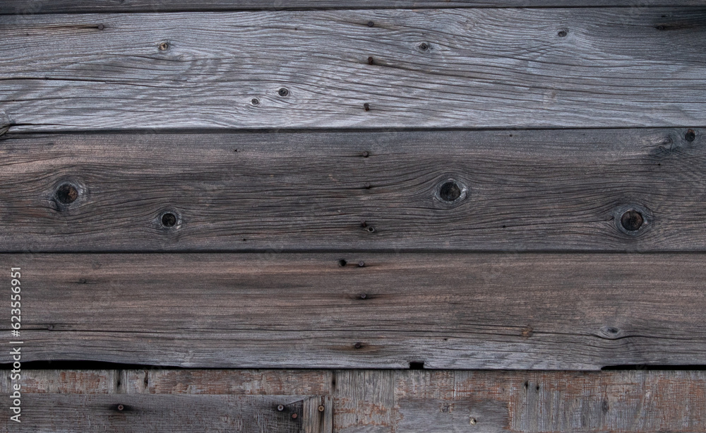 Fototapeta premium wood