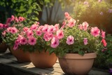Pretty in Pink: Petunia Flowers in Flowerpots on a Delicate Background, Pink Petunia Flowers, Flowerpots, Background, Floral Beauty, Garden Delights, Spring Blossoms, Nature's Palette,