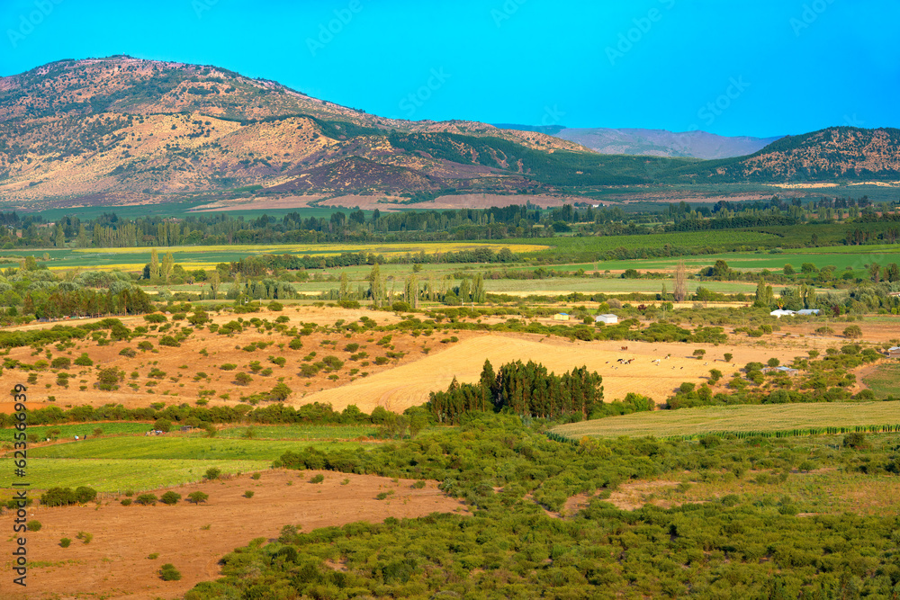 Fototapeta premium Crop fields and farms at Region del Maule in southern Chile
