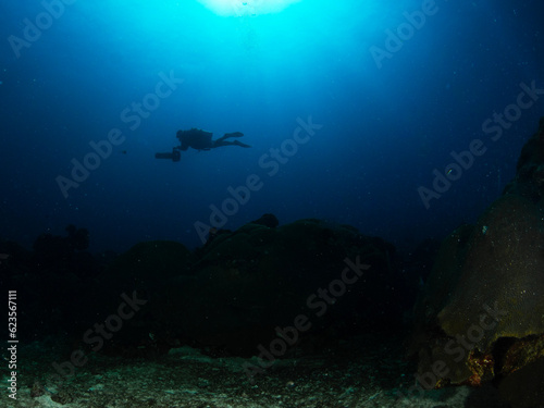 scuba diver and reef, Flower Garden Banks National Marine Sanctuary, East Bank, 2023 photo