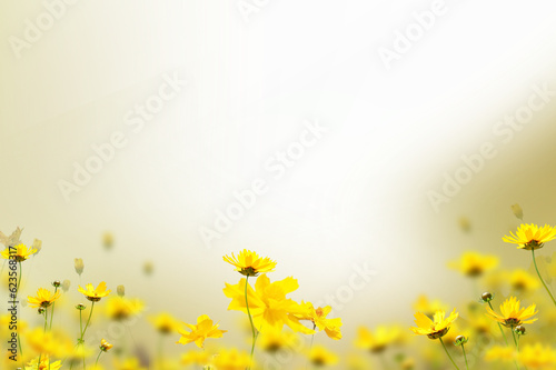 Fotografie Flower set isolated on transparent background, rose chamomile Azalea hydrangea c