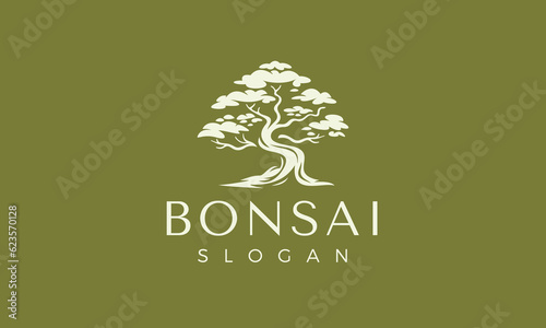 Bonsai Tree Logo, Oriental Plant Tree, Chinese And Japanese Culture, Japan And Nature Concept photo