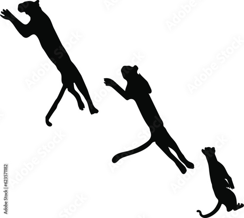 hunting tiger silhouette image vector art drawing elements with different positions 