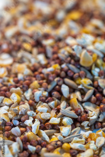 Livestock feed including horse, donkey, mule, goat, pig and chicken feed.