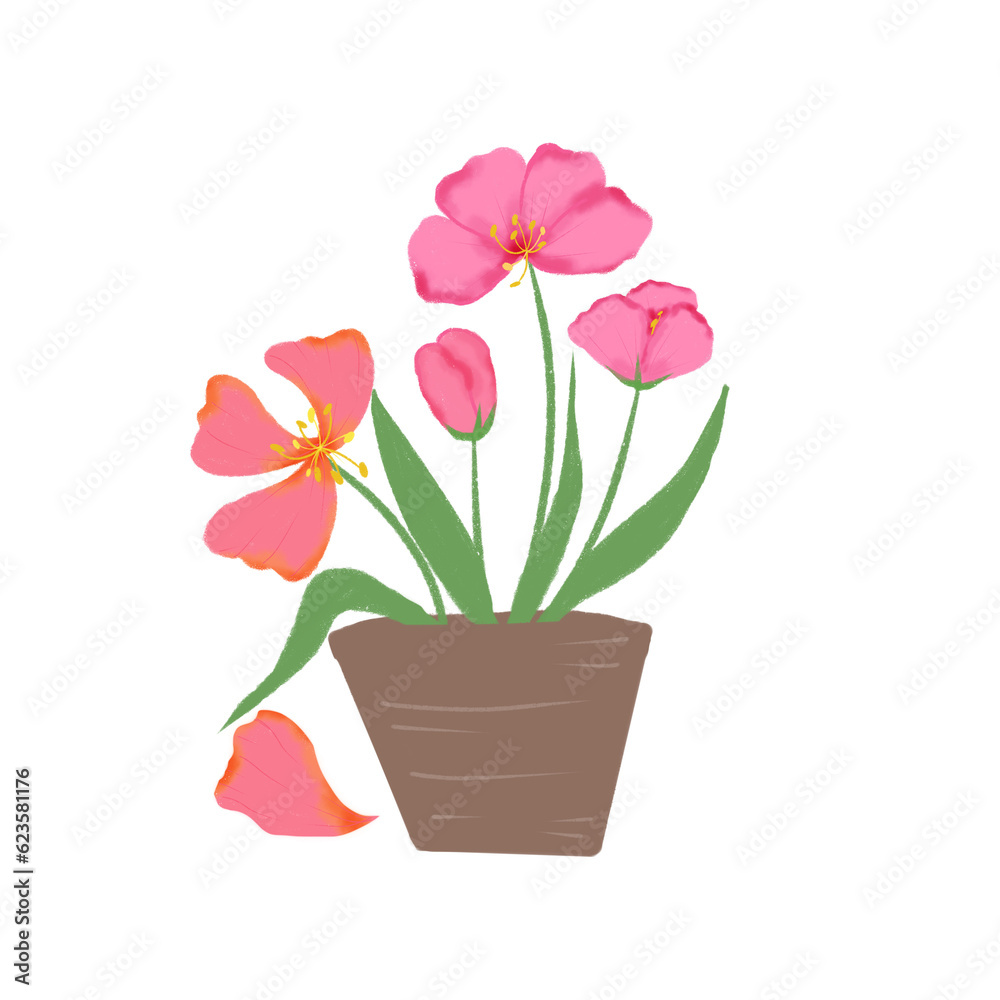 flower in pot