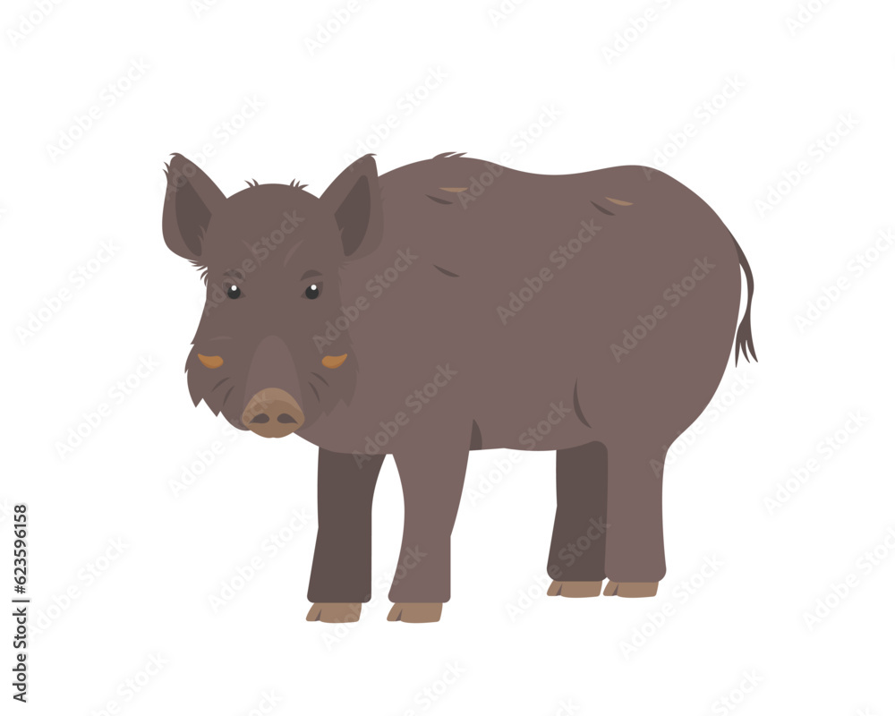 Wild boar or pig. Brown Boar forest animal. Flat vector icon illustration isolated on white background. Wild boar or pig. Brown Boar forest animal. Flat vector icon illustration isolated on white background.