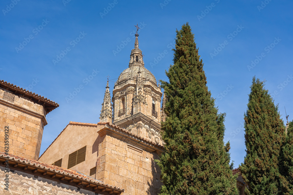 Salamanca New Cathedral Tower - Salamanca, Spain