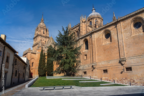 Salamanca Old and New Cathedral - Salamanca, Spain