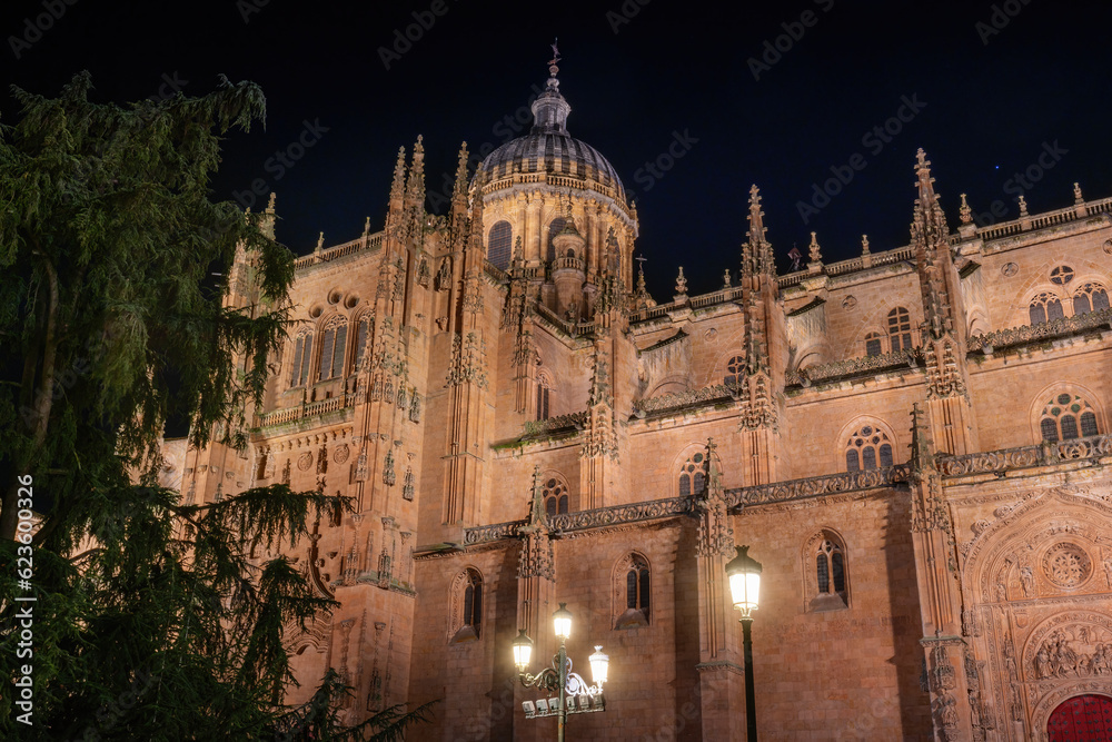 Salamanca Cathedral at Night - Salamanca, Spain