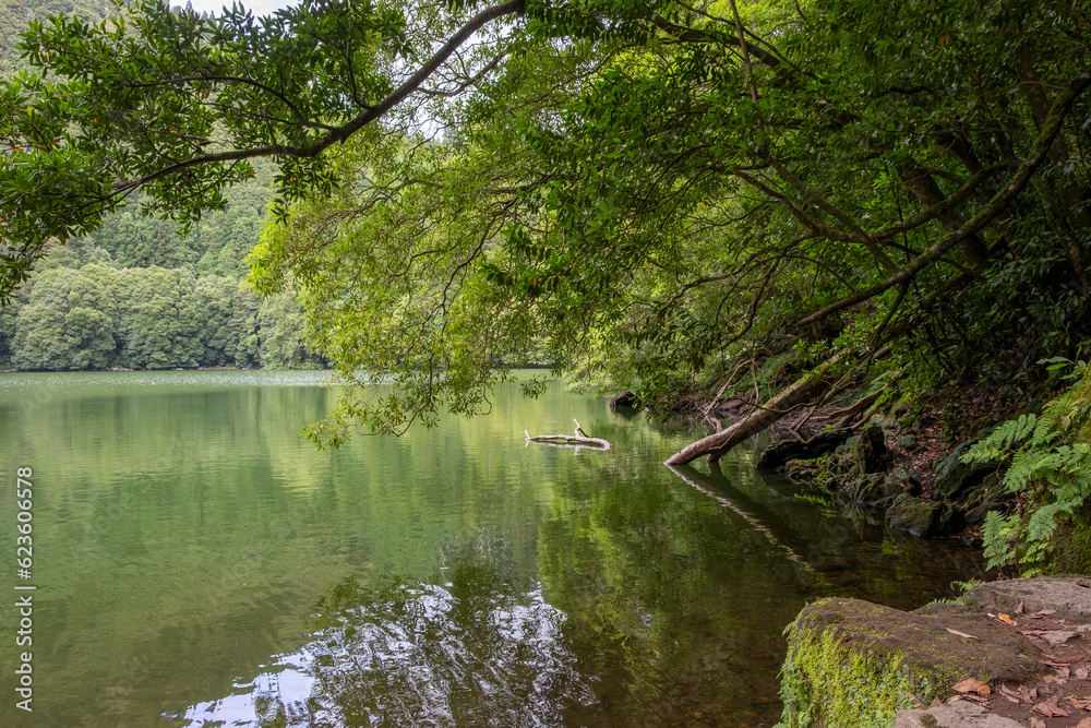 Scenic view of the lake with trees and reflections in the water in Congro Lake 