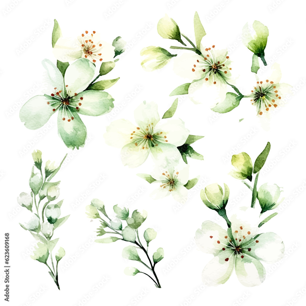 Obraz premium green cherry blossom flowers set
