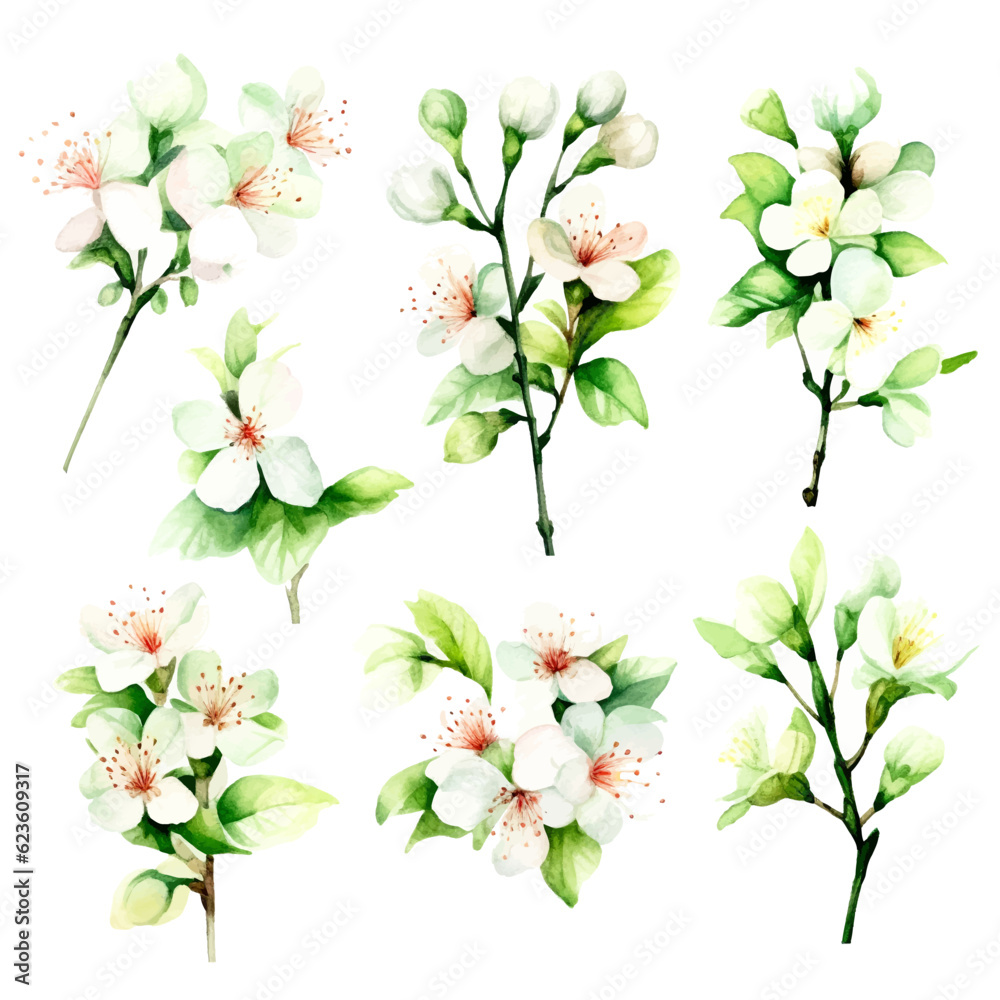 green cherry blossom flowers set
