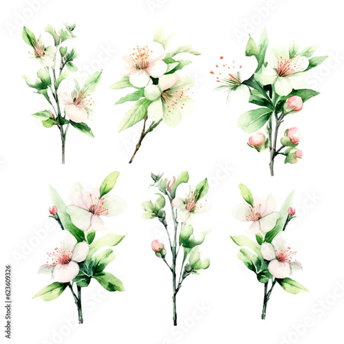 green cherry blossom flowers set