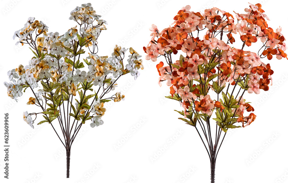 Artificial flower bouquets with transparent background