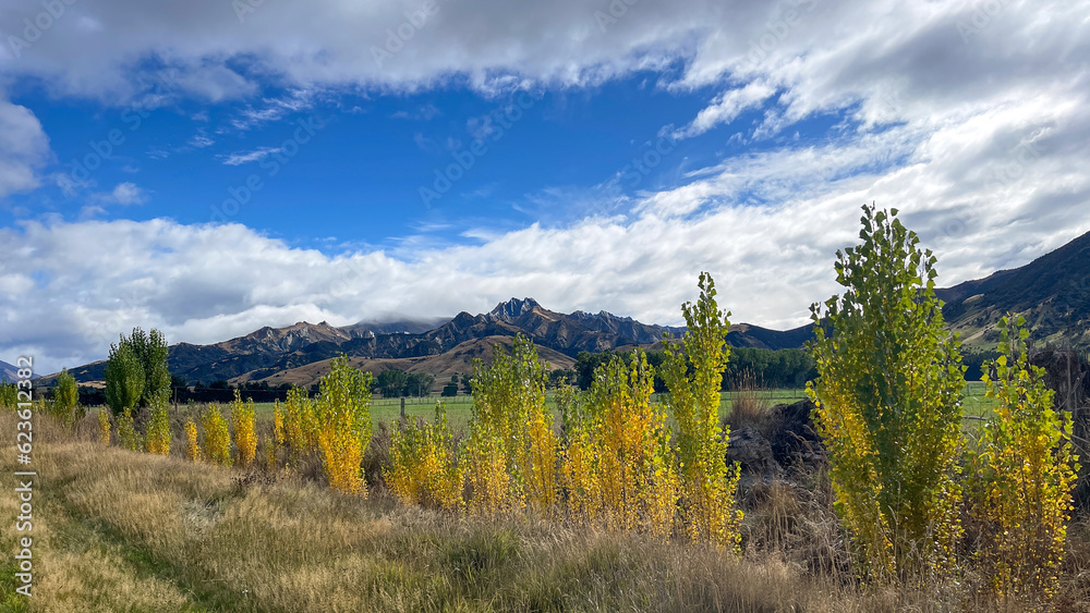 Driving through an agricultural rural sheep farm station in the highlands of the Southern alps