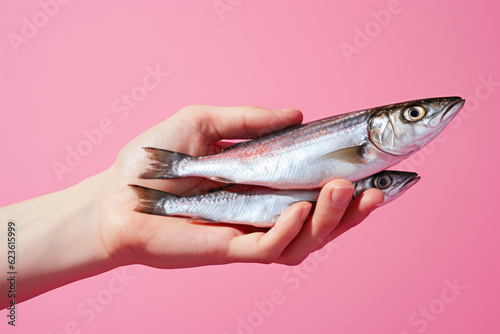 Hands holding fresh sardine fish on pastel background, fresh food ingredients, Healthy food