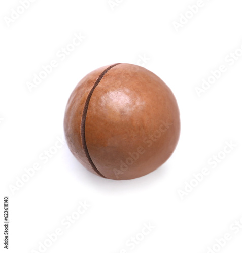 Delicious organic Macadamia nut isolated on white, top view
