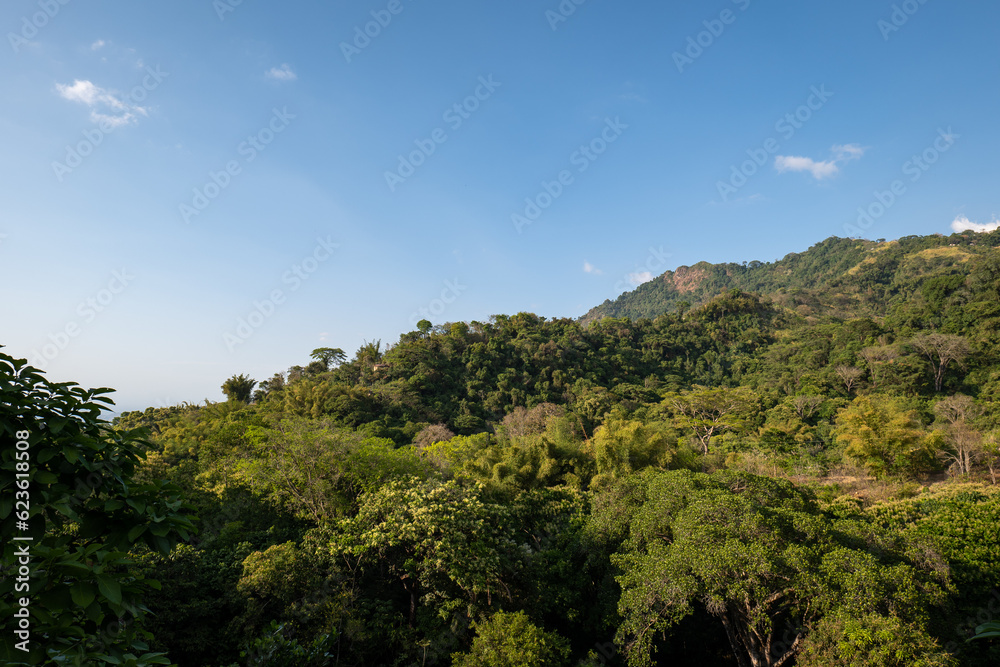 Colombian Sub Tropical Jungle Landscape View at Sunset