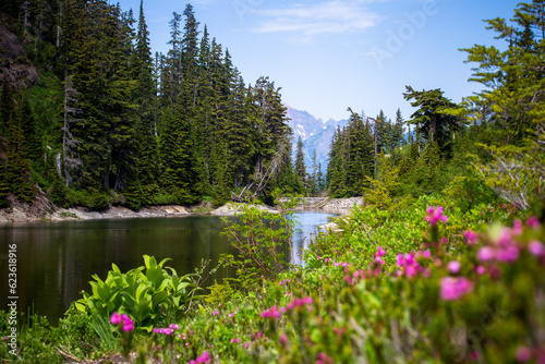 Nature landscapes of Mt Baker Picture Lake and Bagley Lake trail in Summer. photo