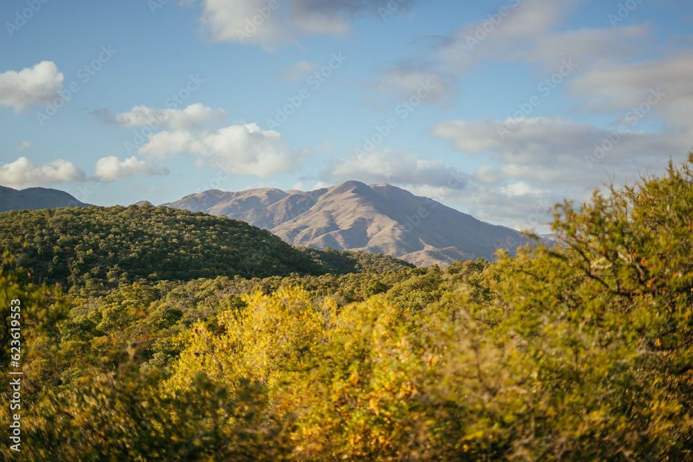 Sierras verdes en cordoba