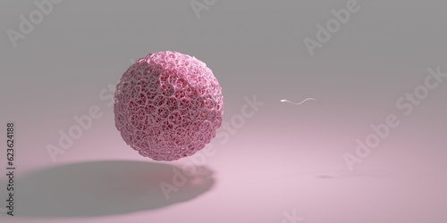 A 3D illustration of human fertilization. One egg with a realistic zona pellucida and one sperm that is about to be fertilized. 