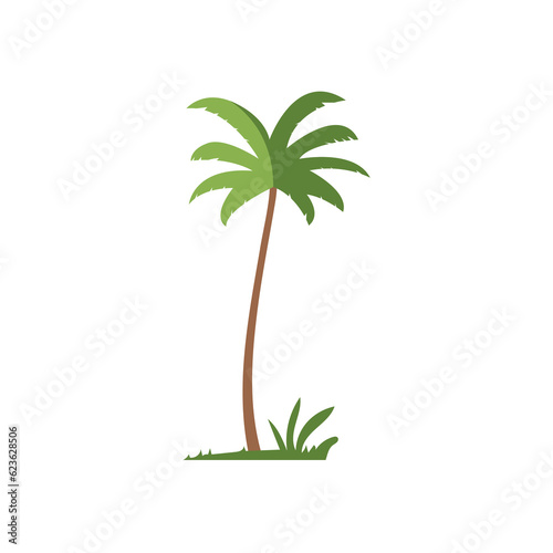 Coconut palm tree illustration  foliage vector image